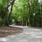 linehan construction wood entrance lane road entrance new build woodland cork
