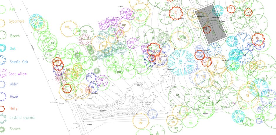 plan design Cork plan design Cork