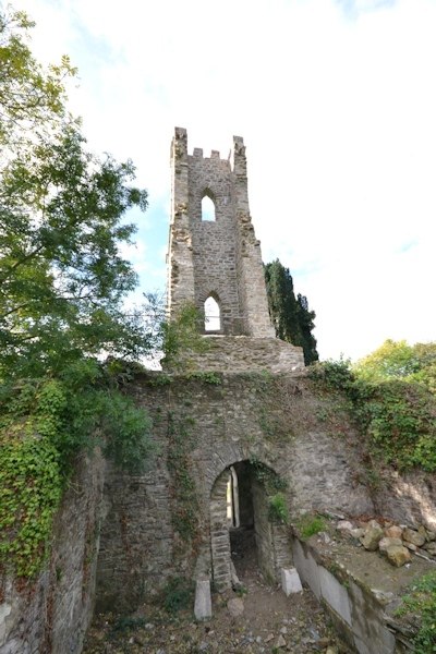 Cork conservation Cork conservation