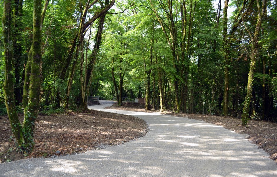 linehan construction wood entrance lane road entrance new build woodland cork